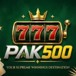 Pak500 Game Download